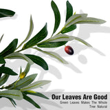 Olive Trees Artificial Indoor, 5.25/6/7FT Tall Faux Olive Tree with Black Pot, Artificial Plants with Natural Wood Trunk and Lifelike Fruits for Home Office Decor