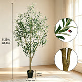Olive Trees Artificial Indoor, 5.25/6/7FT Tall Faux Olive Tree with Black Pot, Artificial Plants with Natural Wood Trunk and Lifelike Fruits for Home Office Decor