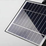 Solar RGB Spot Lights for Outdoor Garden Tree Landscape Lighting